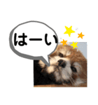 たけしの スタンプその29（個別スタンプ：21）