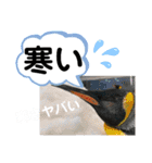 たけしの スタンプその29（個別スタンプ：22）