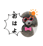 たけしの スタンプその29（個別スタンプ：24）