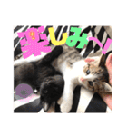 しんたま日和2（個別スタンプ：11）