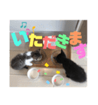 しんたま日和2（個別スタンプ：18）
