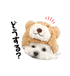 みるちゃんスタンプ②（個別スタンプ：8）