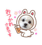 みるちゃんスタンプ②（個別スタンプ：34）