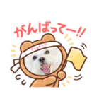 みるちゃんスタンプ②（個別スタンプ：35）