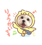 みるちゃんスタンプ②（個別スタンプ：36）