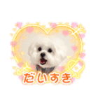 みるちゃんスタンプ②（個別スタンプ：37）