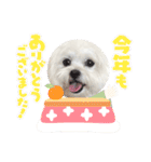 みるちゃんスタンプ②（個別スタンプ：39）
