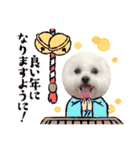 みるちゃんスタンプ②（個別スタンプ：40）