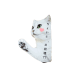 ボクは猫なのか？（個別スタンプ：4）