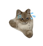 ボクは猫なのか？（個別スタンプ：6）