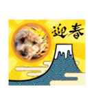 トイプ・エイト新年挨拶2022編（個別スタンプ：2）