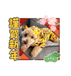 トイプ・エイト新年挨拶2022編（個別スタンプ：3）