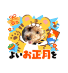 トイプ・エイト新年挨拶2022編（個別スタンプ：12）