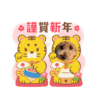 トイプ・エイト新年挨拶2022編（個別スタンプ：13）