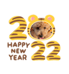 トイプ・エイト新年挨拶2022編（個別スタンプ：14）
