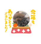 トイプ・エイト新年挨拶2022編（個別スタンプ：16）