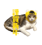ごえもん日和 14（個別スタンプ：1）
