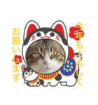 ごえもん日和 14（個別スタンプ：3）