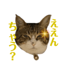 ごえもん日和 14（個別スタンプ：5）