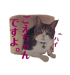 ごえもん日和 14（個別スタンプ：6）