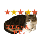 ごえもん日和 14（個別スタンプ：7）