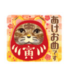 Tabby cats 年末年始2022（個別スタンプ：1）