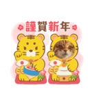 Tabby cats 年末年始2022（個別スタンプ：3）