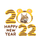 Tabby cats 年末年始2022（個別スタンプ：4）