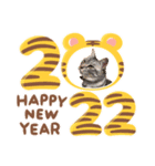 Tabby cats 年末年始2022（個別スタンプ：5）