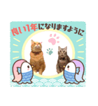 Tabby cats 年末年始2022（個別スタンプ：7）