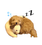 オレ、ツン。わたち、ポン。（個別スタンプ：12）