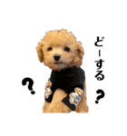オレ、ツン。わたち、ポン。（個別スタンプ：13）