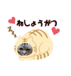 とらねこの新年のご挨拶（個別スタンプ：2）