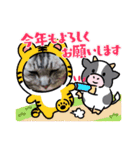 とらねこの新年のご挨拶（個別スタンプ：4）