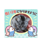 とらねこの新年のご挨拶（個別スタンプ：9）