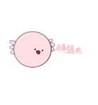 うーぱーるーぱーとみかん（個別スタンプ：39）