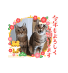 びっきなあんこ4（個別スタンプ：1）