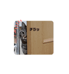 びっきなあんこ4（個別スタンプ：3）
