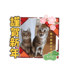 びっきなあんこ4（個別スタンプ：13）