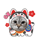 びっきなあんこ4（個別スタンプ：16）