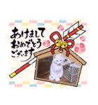 ガッシーねこーずいろいろスタンプ（個別スタンプ：3）