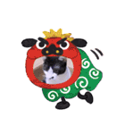 ガッシーねこーずいろいろスタンプ（個別スタンプ：5）