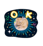 ガッシーねこーずいろいろスタンプ（個別スタンプ：9）