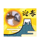 ガッシーねこーずいろいろスタンプ（個別スタンプ：10）