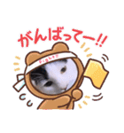 ガッシーねこーずいろいろスタンプ（個別スタンプ：19）