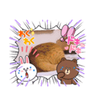 ガッシーねこーずいろいろスタンプ（個別スタンプ：26）