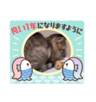 ガッシーねこーずいろいろスタンプ（個別スタンプ：29）