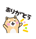 でか文字！イロイロ！柴犬ぽるて。（個別スタンプ：1）