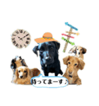 世界一小さな？ラブラドール アロハ（個別スタンプ：8）