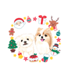 クリスマス全員集合（個別スタンプ：38）